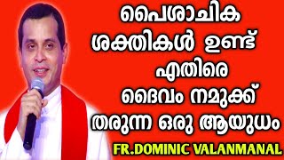 ദൈവം നമുക്ക് തരുന്ന വലിയ ആയുധം|FR.DOMINIC VALANMANAL