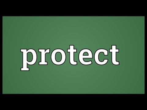What type of word is protect?