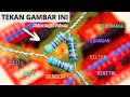 7 Fungsi Utama Resistor, Bukan Hanya Sekedar Hambatan.