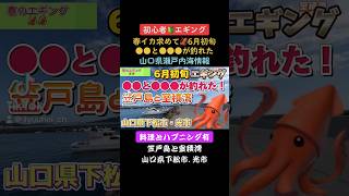 本編はコチラ👆山口県【初心者🔰エギング🦑】春イカ求めて！6月初旬、●●と●●●が釣れた！笠戸島と室積湾/山口県下松市/山口県光市