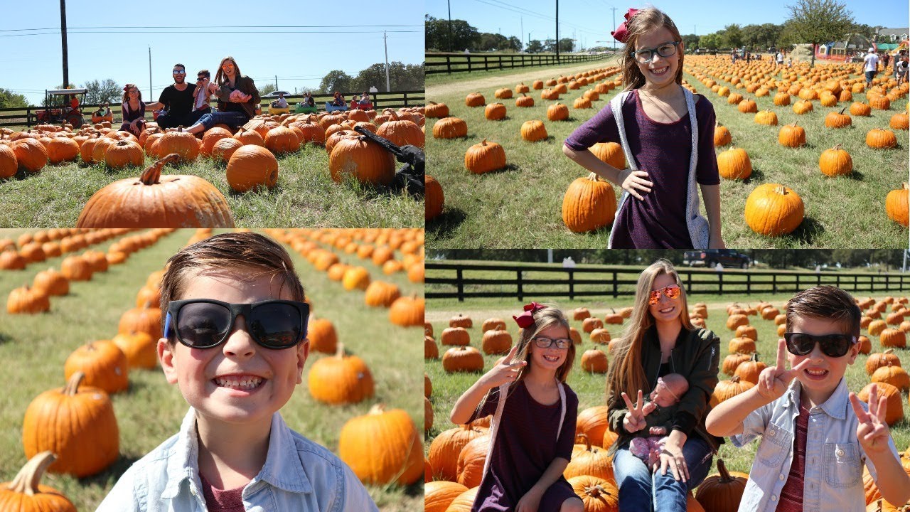 Pumpkin Patch Fun Youtube