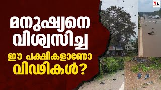 മനുഷ്യന്‍ ഇത്ര ക്രൂരനാവണോ?|THEJAS NEWS