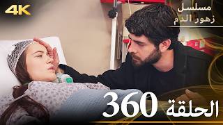 الحلقة 360 | مسلسل زهور الدم | مدبلج بالعربية | Kan Çiçekleri | جودة 4K