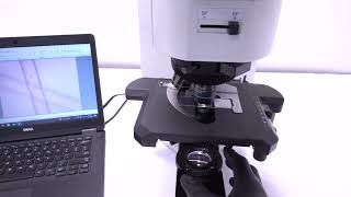 Olympus BX60 Microscope Set 2 (4 Objectives) [BOSTONIND] - GLMC