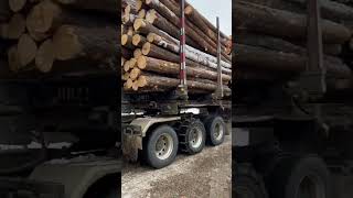 Logger passing ￼￼through￼! #trucker #logging #viral