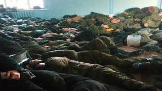 MOBILISED RUSSIAN OF THE 55TH MOTORIZED RIFLE BRIGADE  COMPLAINS FOR BEING TREATED LIKE PIGS || 2022