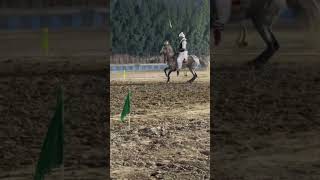 Khan Zubair khan || ghora Rokhri Prince || nezabazi || tent pegging || #shorts