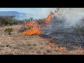 Arizona wildfire updates for June 14