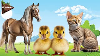 Adorable little animals are all around us: Horse, Duckling, Cat