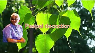 Peepal decoction || Raavi akula kashayam || Dr Khadar || Dr Khadar Lifestyle