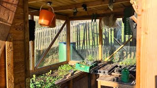 Self-sufficiency in the winter garden | Garden status December in the open field \u0026 greenhouse