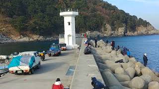 부산 가덕도 대항 새바지 방파제 Busan Gadeokdo Daehang Saebagi Breakwater