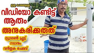 Drgon Fruit ഡ്രാഗൺ ഫ്രൂട്ട്‌ നടുന്നതിന് എന്തെല്ലാം ചെയ്യണം