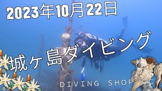 【授業風景】2023年10月22日城ヶ島ダイビング♪