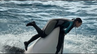 鴨川シーワールド シャチショー シャチパフォーマンス ※2025.01.03 11:30 / Kamogawa Sea World Killer Whale Show