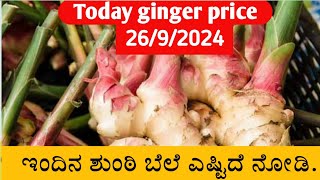 Today ginger rate | Today shunti bele | Today Shunti rate |Today ginger market price |