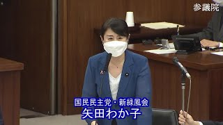 参議院 2021年06月15日 内閣委員会 #07 矢田わか子（国民民主党・新緑風会）