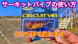 サーキットバイブの使い方。アクション方法と重さ、神カラーについて