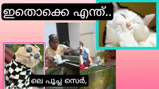 പത്തു വരെ എണ്ണിയില്ലേ... ഇനി ഞാൻ എലിയെപ്പിടിക്കാൻ പോട്ടേ. 😂ശിവനേ ഇക്കണക്കിന്‌ പോയാൽ ഇനി സ്കൂളിലും...