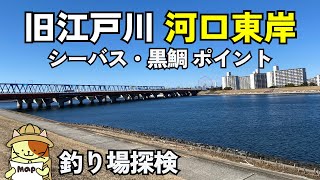 「旧江戸川」河口東岸釣り場探検｜ディズニーランドそばの広大なシーバス・黒鯛釣りポイント。ただし・・