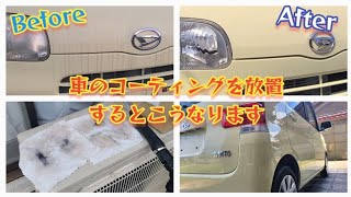 【洗車動画】３ヶ月洗車していない車の有名１年耐久コーティング施工車を洗車します　#洗車 #carwash #コーティング　#ながら洗車 #Absolutewax #ガレージセラピー