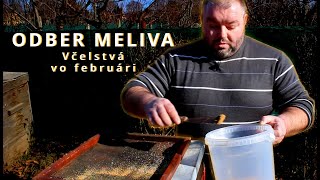 57. Včelstvá vo februári - odber zmesnej vzorky meliva