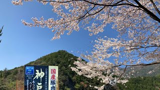 「谷瀬吊り橋オートキャンプ場」でドイツ風？鳥シチュー🇩🇪