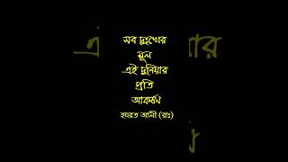 সব দুঃখের মূল!✨ #হযরতআলী