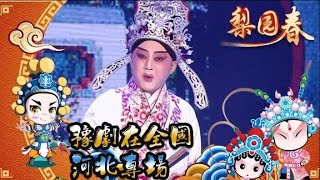 梨園春 2011第40集 ：豫劇在全國，河北專場