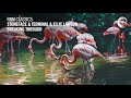 Stoneface & Terminal and Ellie Lawson - Breaking Through (Trance Classic)