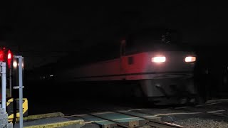 コキのフラット音がうるさすぎる！ EF66 116牽引 3095レ 名古屋タ〜岐阜タ〜札幌タ