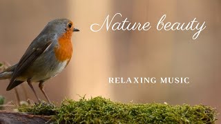 nature beauty relaxing music - relaxing beautifull music #calm #meditation music clips 2022