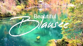 Blausee - Blue Lake in Switzerland Bernese Oberland, Kandergrund / Lake with Trout Fish [4K]