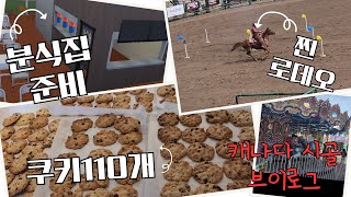 캐나다시골Vlog✨쿠키 110개 굽고, 진짜 로데오 보고, 창업준비도 하고.