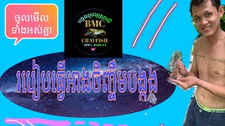 របៀបធ្វើអាងចិញ្ចឹមបង្កង(បង្កងពូជអូស្ត្រាលី BMCcrayfish)