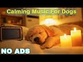 12 HOURS of Dog Calming Music For Dogs🎵💖Anti Separation Anxiety Relief Music🐶Sleep dog Healing🎵