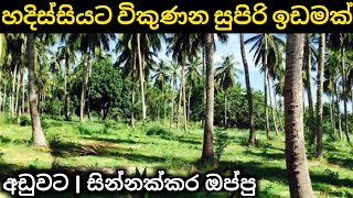 අඩුවට සුපිරි ඉඩමක් විකිණීමට | අරන් වික්කත් පාඩු නෑ | Low budget land sale | idam lanka