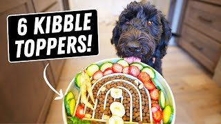 Human Foods Dogs SHOULD Eat 🐶 6 Best Kibble Toppers