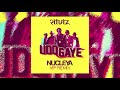 ritviz udd gaye nucleya vip remix songs that i want on spotify