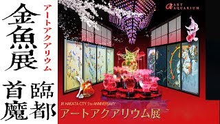 轰动日本的ART AQUARIUM金鱼展首临魔都~