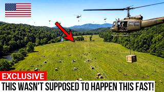 North Carolina Let 52 Elk Into Its Dying Mountains — What Happened to the Valley Was Unbelievable