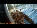 transport drewna holztransport timber truck