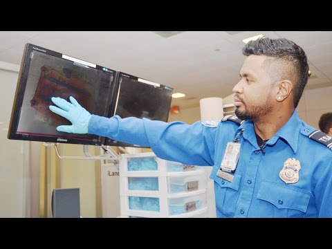 TSA on the Job: Transportation Security Officer TSA on the Job: Transportation Security Officer