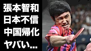 【驚愕】張本智和が団体戦で負け続ける裏で日本不信になった真相...吐露した中国帰化への想いに驚きを隠せない...パリ五輪『チョレイ』の掛け声で有名な日本卓球エースの勝てなくなった理由がヤバい...