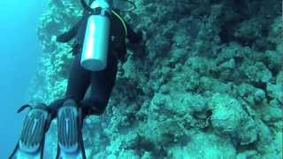 Red Sea Diving entering El Bells & exiting via Blue Hole