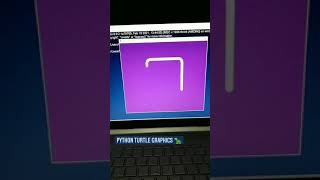 Instagram Logo Using Python Turtle Graphics🐢💚