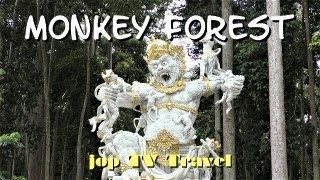 Excursion to Obyek Wisata Sangeh monkey forest attraction (Bali) jop TV Travel