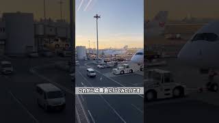 【激レア✈️チャーターフライト】羽田空港〜硫黄島