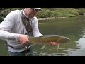 Incredible Fly Fishing for BIG Rainbow Trout in a Stunning River!!