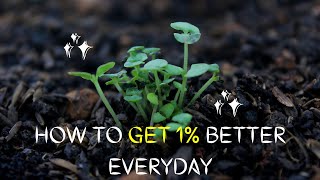 Getting 1% Better Everyday | Brene Brown Motivation | #brenebrown